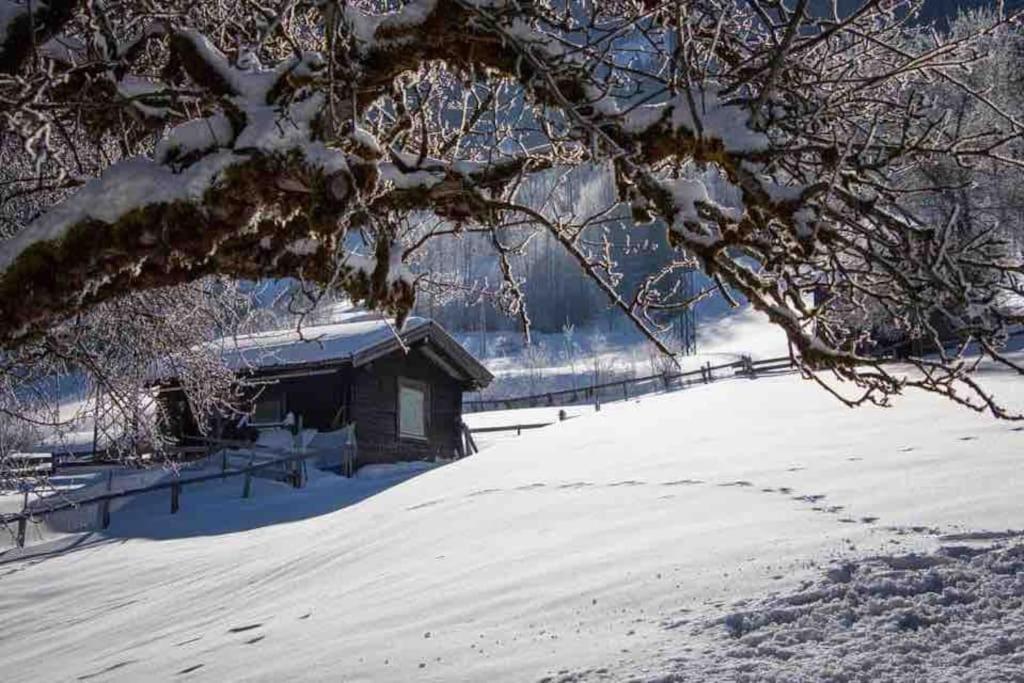 Kleine Alpenhuette In Lend 2024 Neben Der Salzach Vila Exterior foto