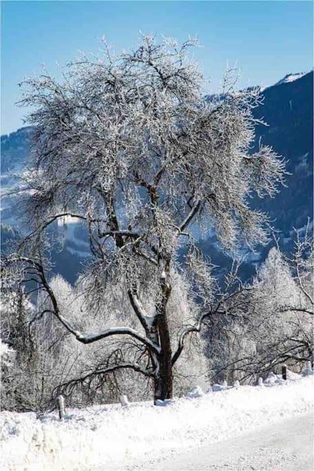 Kleine Alpenhuette In Lend 2024 Neben Der Salzach Vila Exterior foto